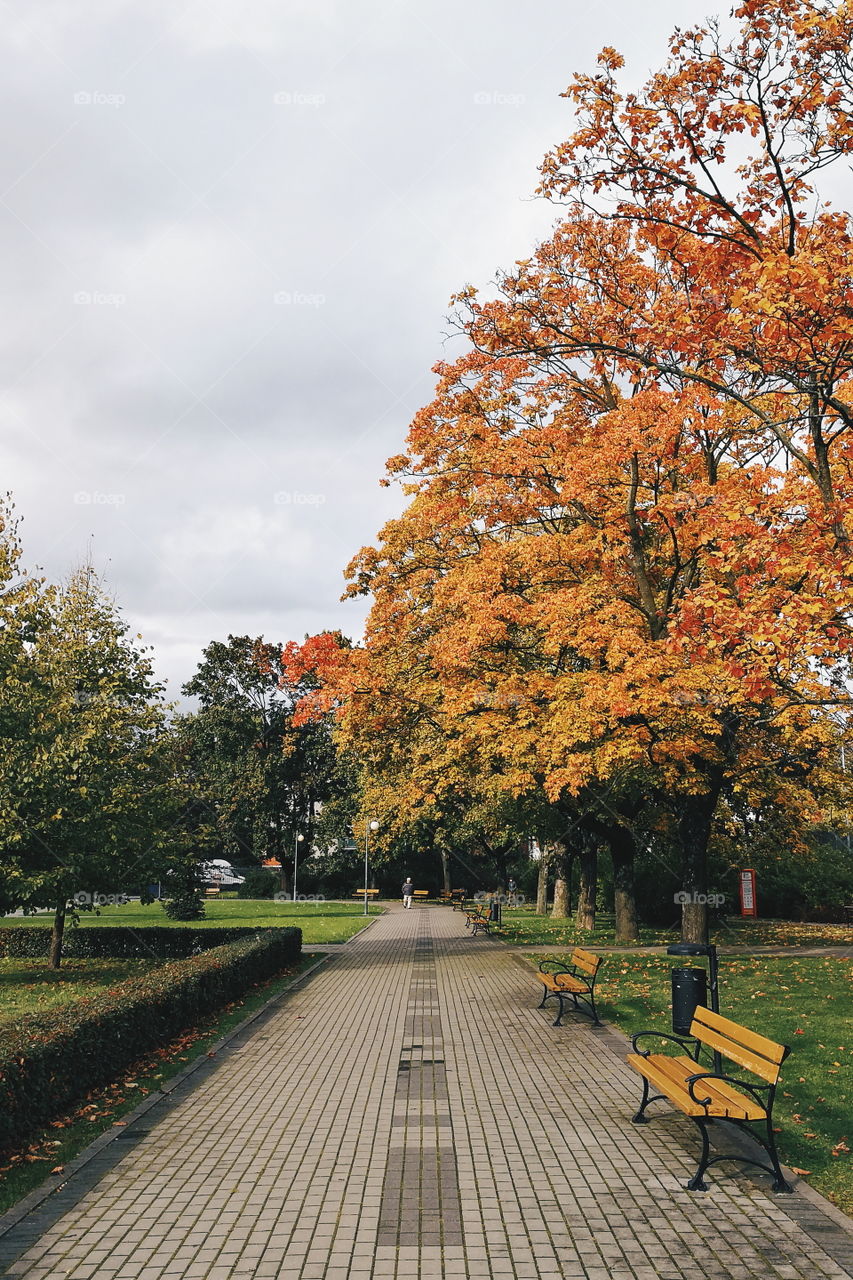 Park in Autumn