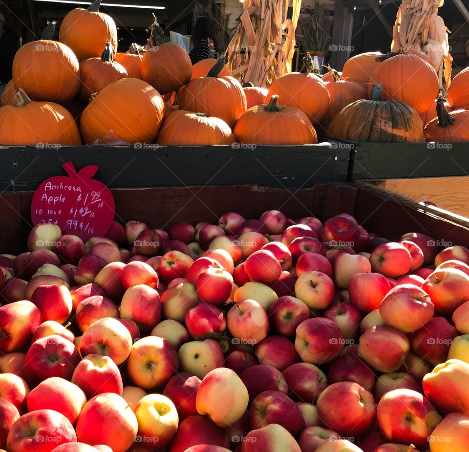 Apples and pumpkins at market