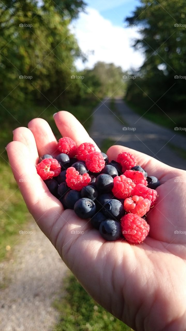 Close-up of berry fruit