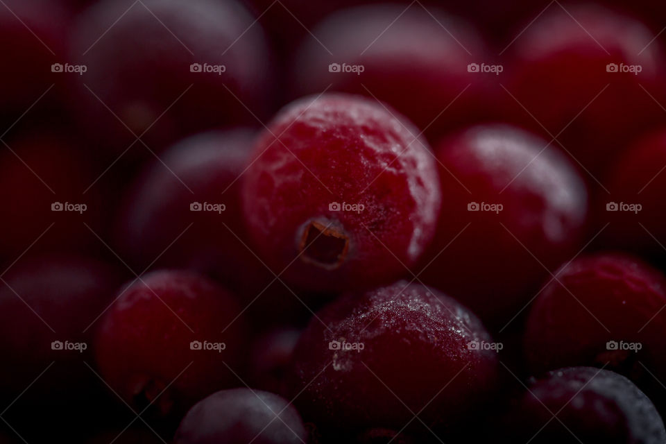 Close up of frozen cranberries 