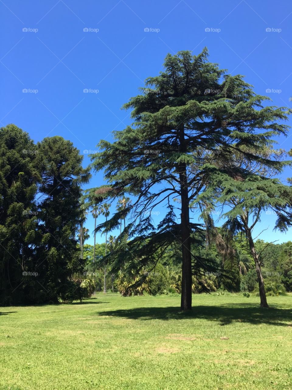 Parque urbano em Montevidéu 