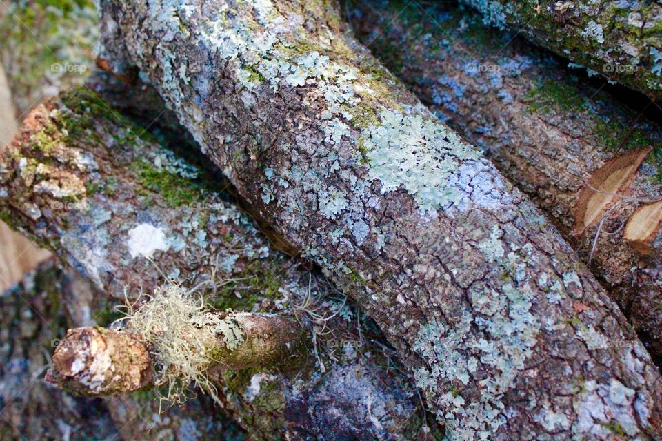 Log pile weathered grey from the elements 