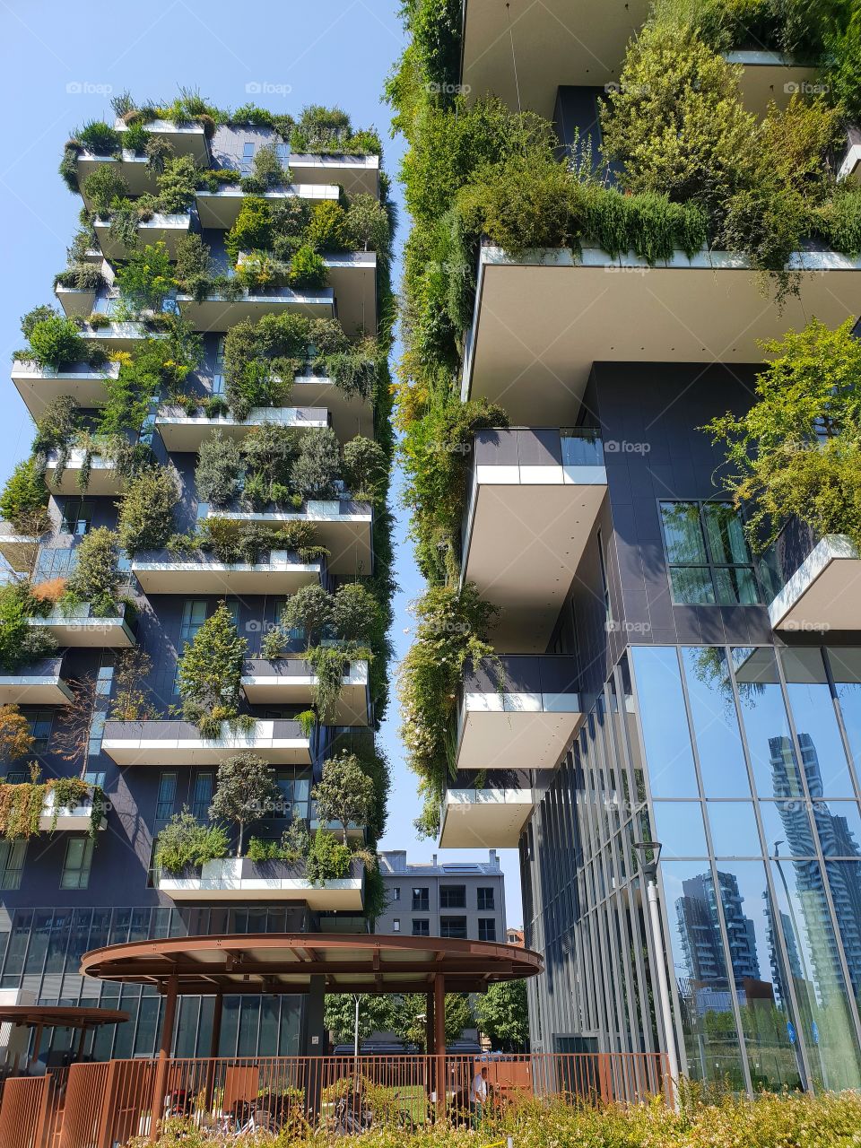 Vertical forest in Milan