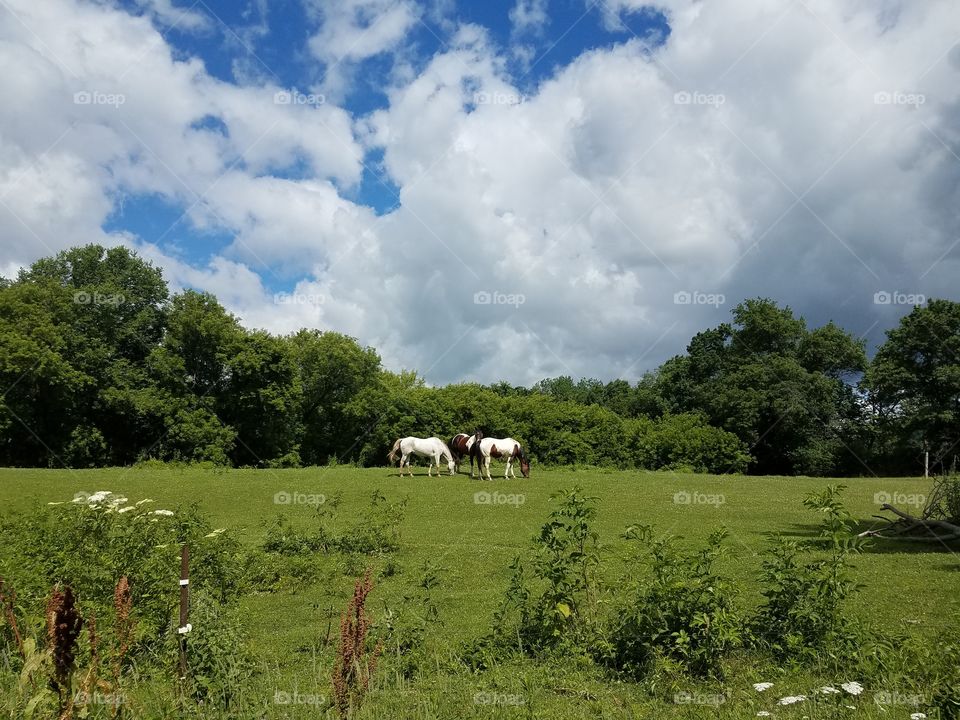 Driving the Back Roads and enjoying everything around us