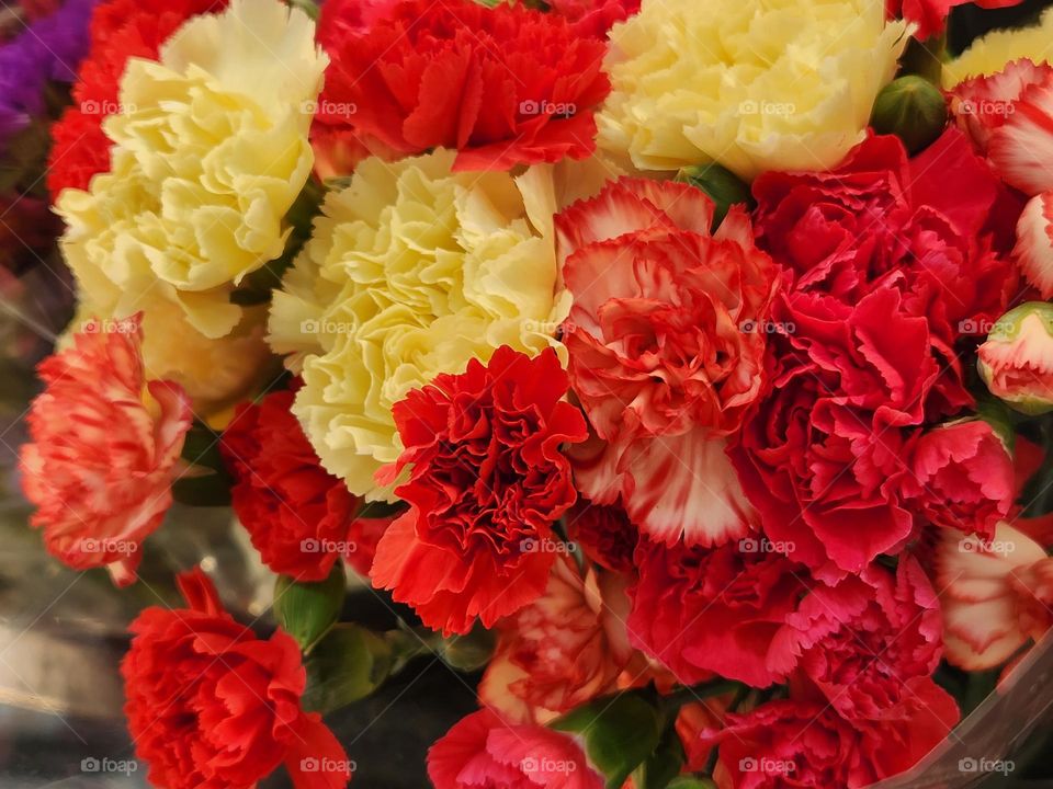 close up of red, white, and yellow Carnation  flower blossoms bouquet