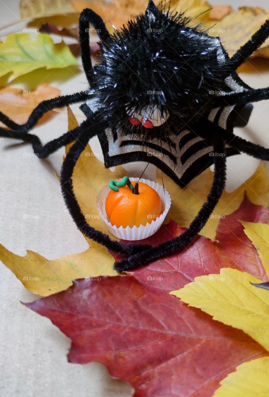 Helloween is for spiders and treats