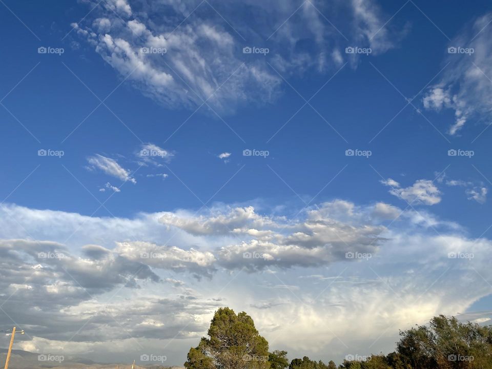 A blue sky with pine trees and multiple clouds.