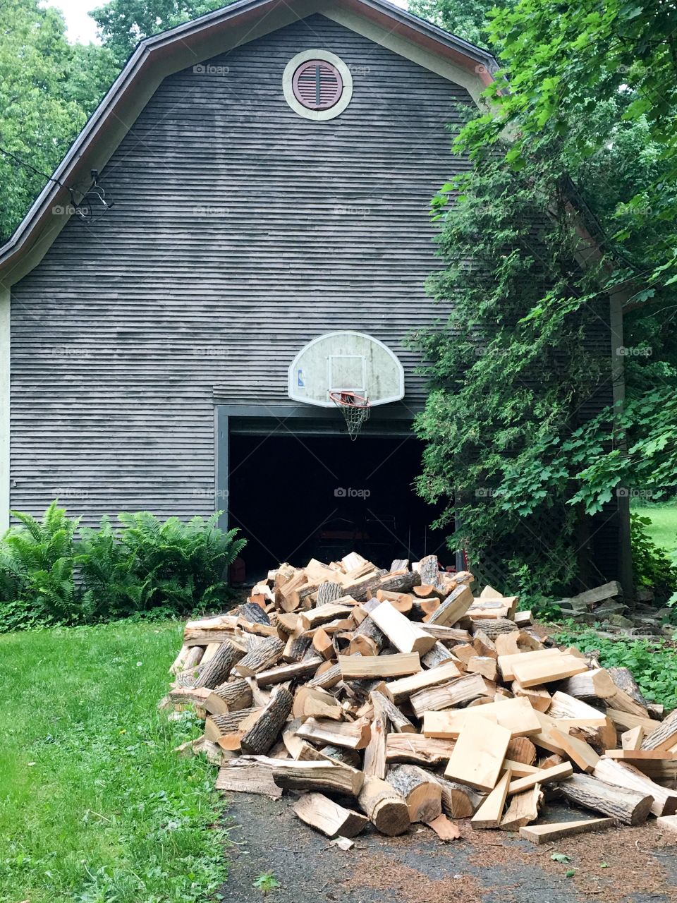 Chopped wood pile in front of Victorian era barn