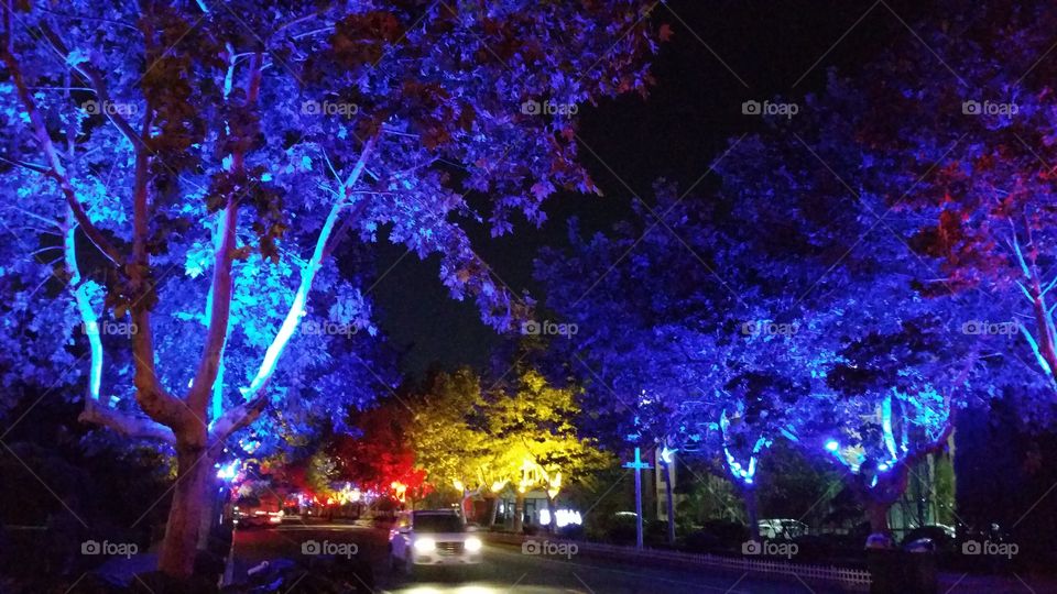 Maple design in China