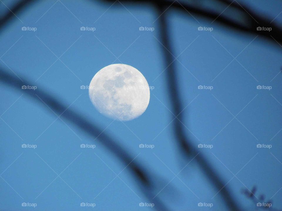 Full moon in sky