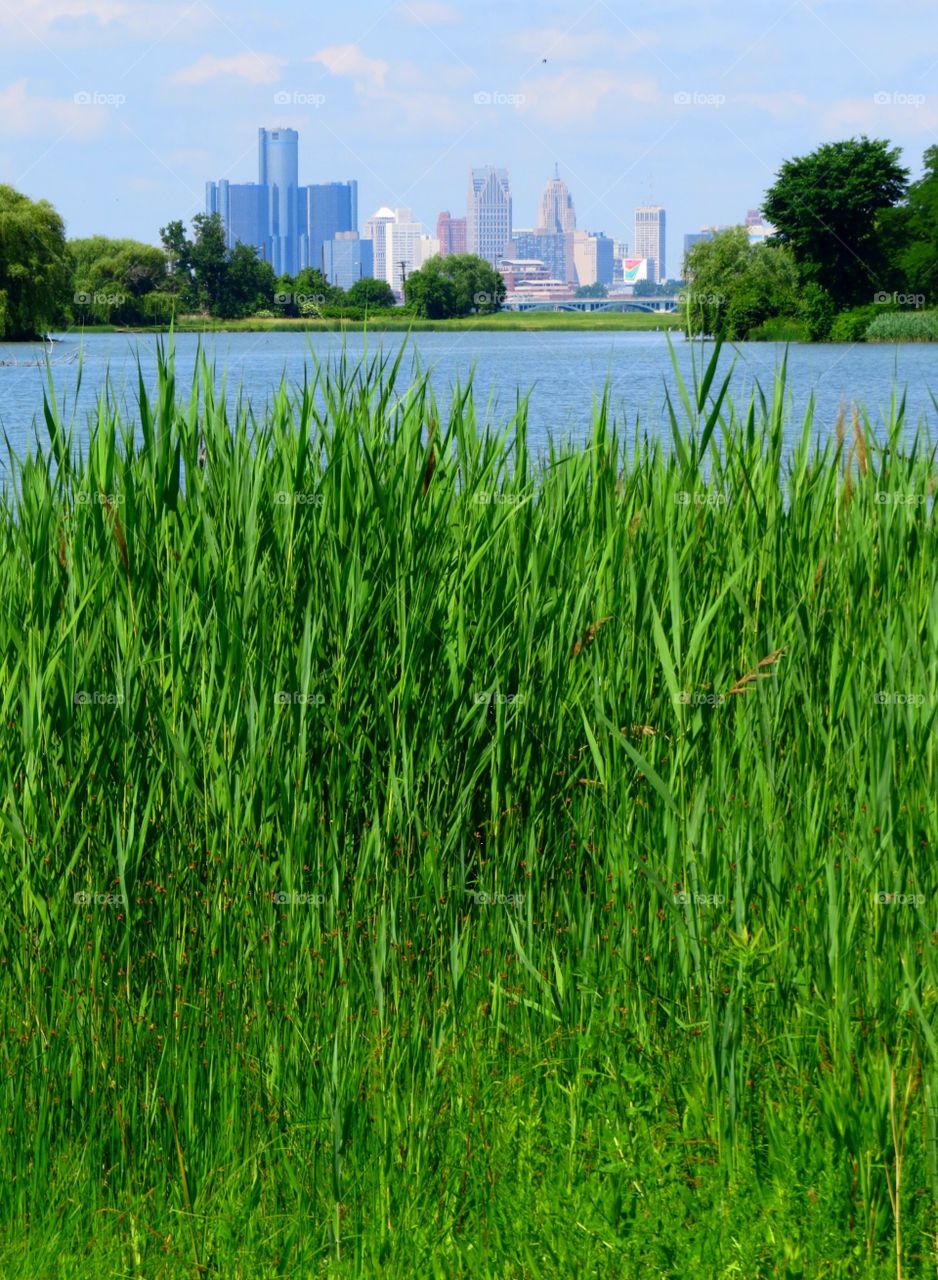 Detroit from Belle Isle. The city of Detroit from Belle Isle, MI