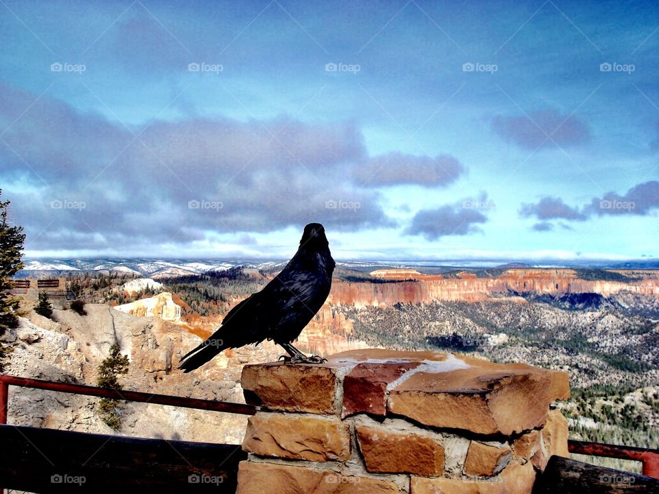 Bryce Canyon National Park