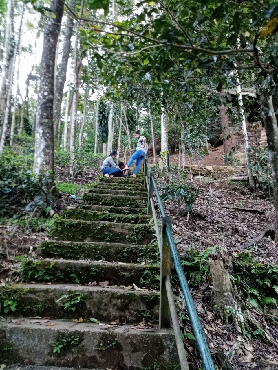Way to Laxapana water fall in Sri Lanka