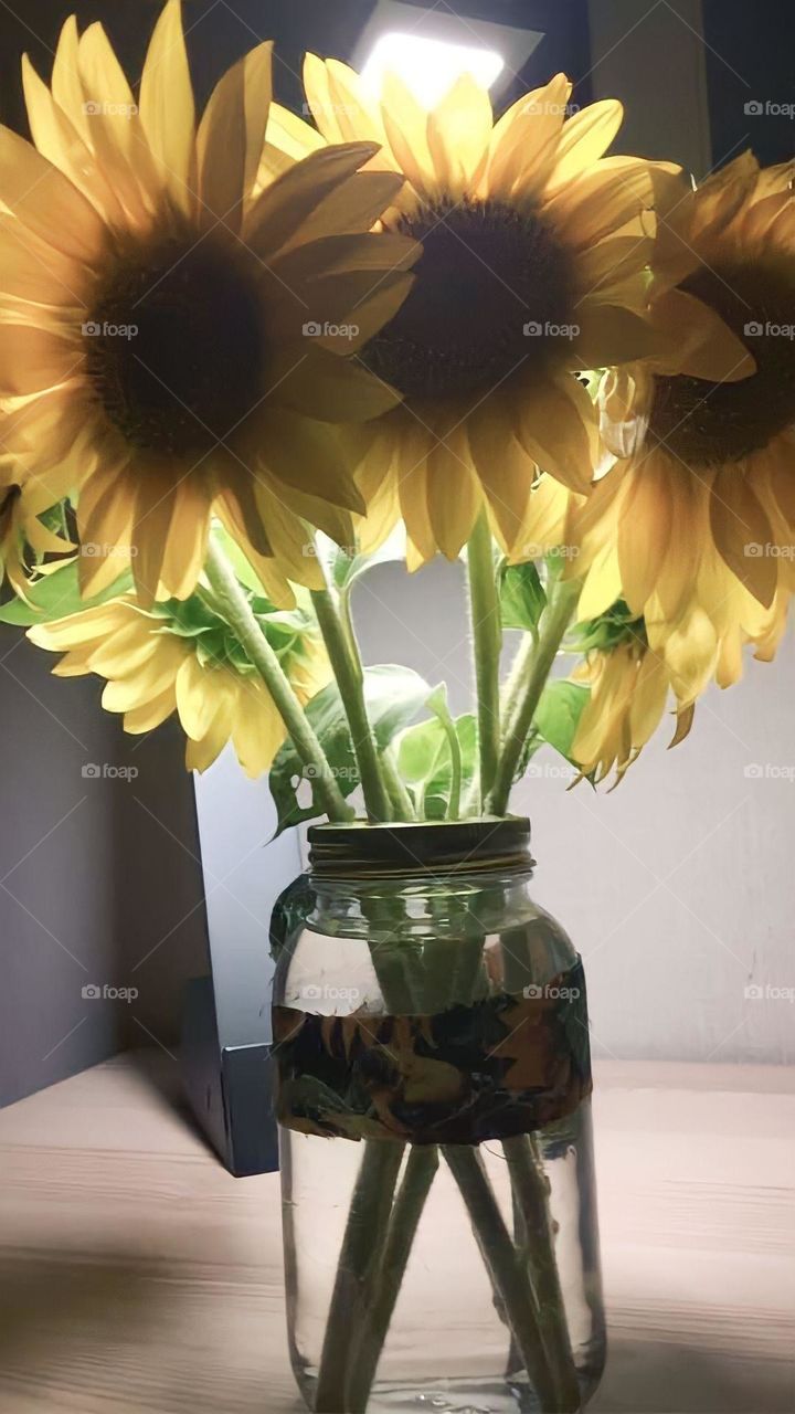 Picked some sunflowers last summer 
