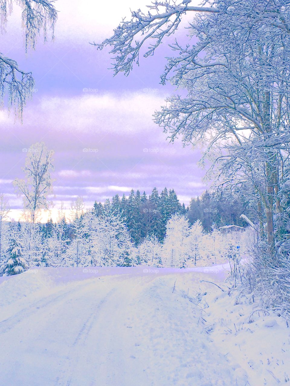 A rood at wintertime 