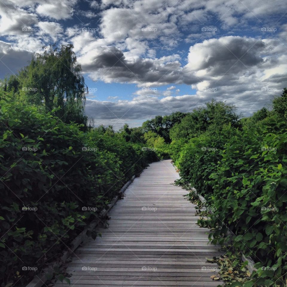 Spring on the boardwalk 