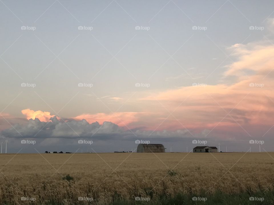 Open Kansas field with a pink sunset falling