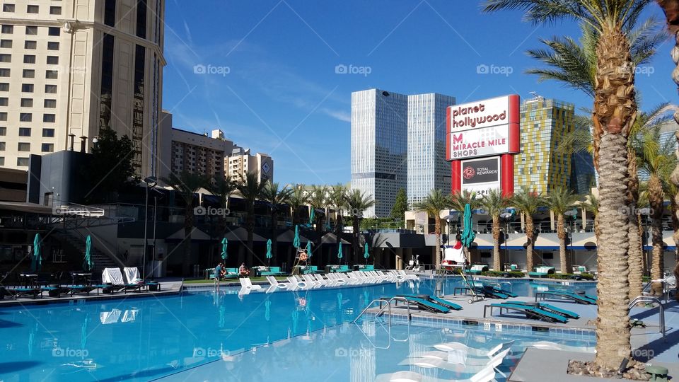 Elara Hilton Grand Vacations Pool