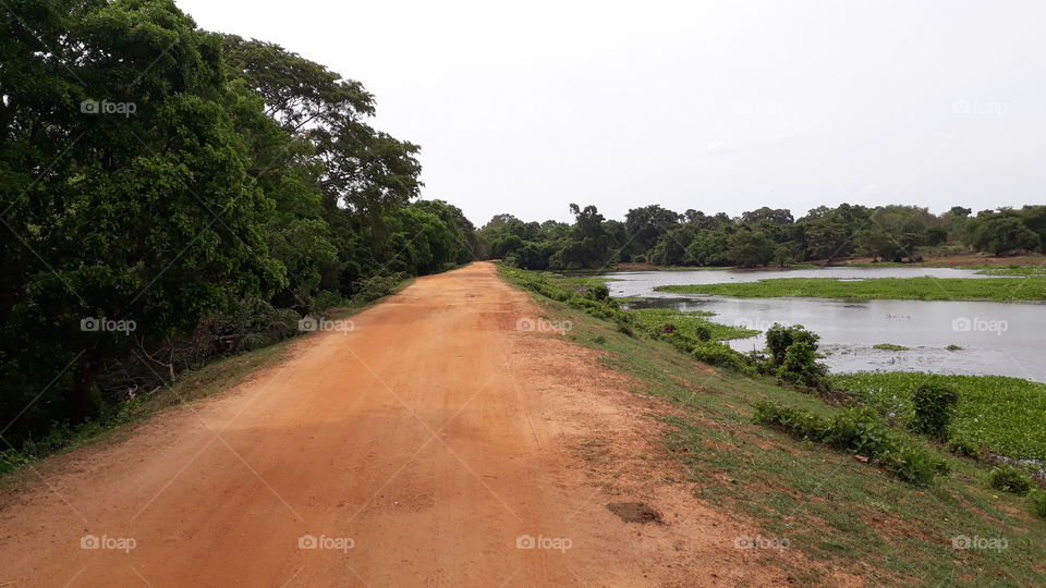 Single track in the countryside.