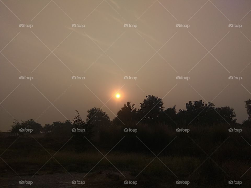 Sunset, Dawn, Landscape, Fog, Evening