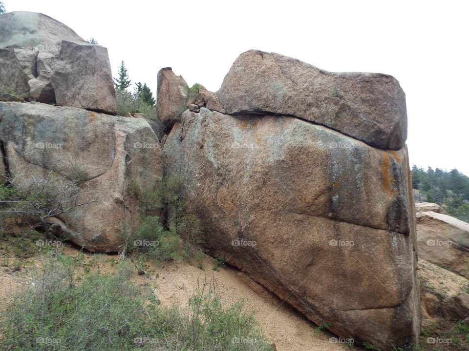 Pike's peak wilderness