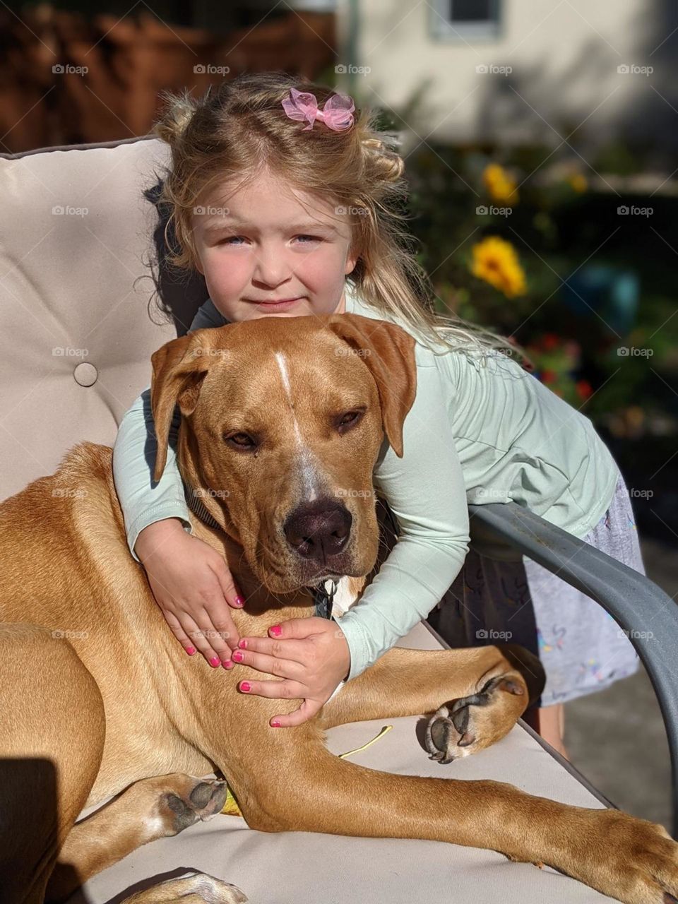 girl and large dog best friends pose together on a summer day, girl holding dog, puppy and girl posing together, dog sitting in a patio chair, pink fingernails, small hands and a large, cute dog