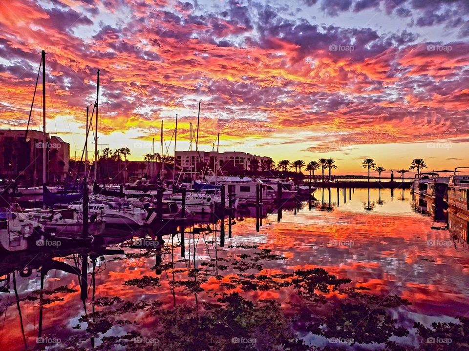 Clouds dot the sky during a spectacular Florida sunset which is reflected in the waters of the local harbor