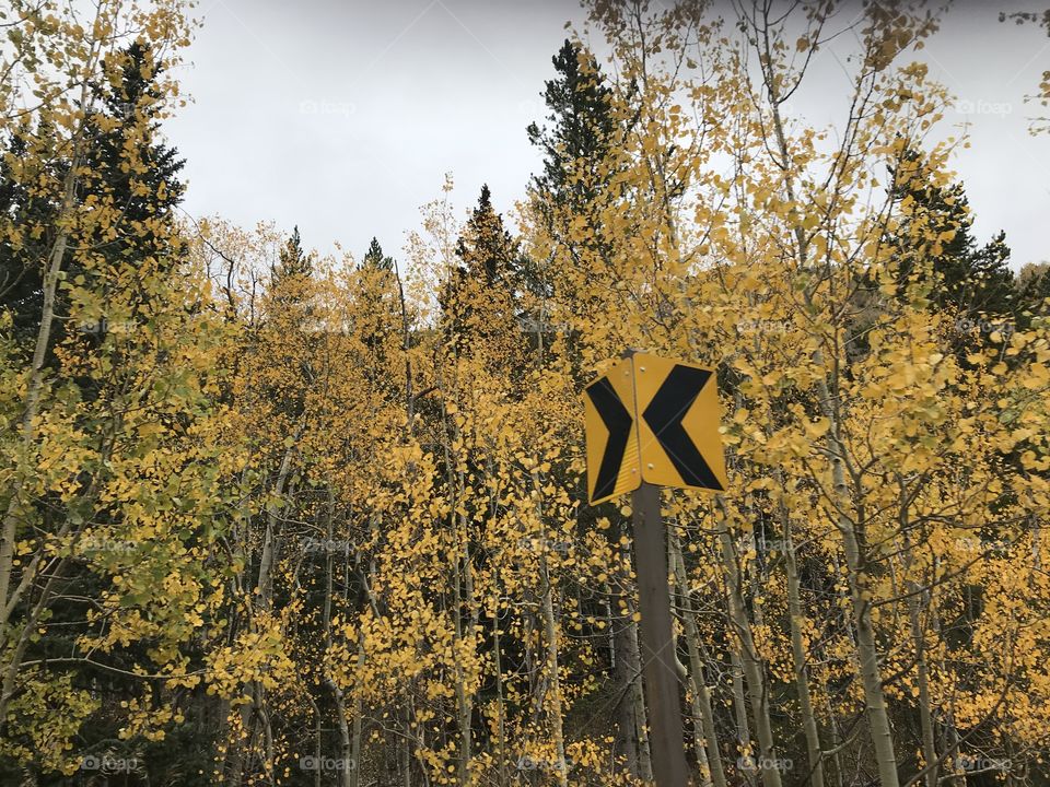 It’s a sign, fall colors 