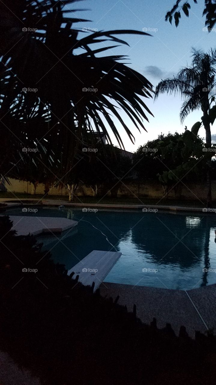 dark. pool.