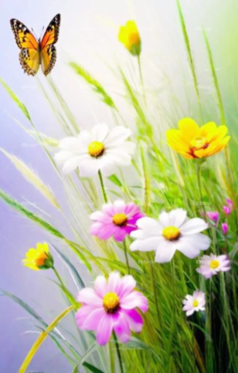 flowers