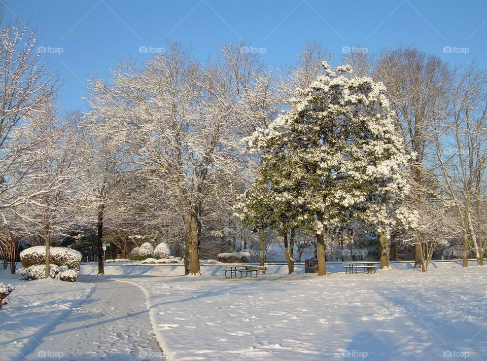 City Park on the snow