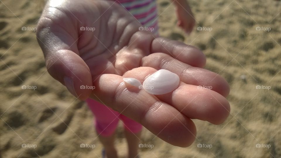 Sea shells in the hand. Sunny Kalamitsi beach Greece