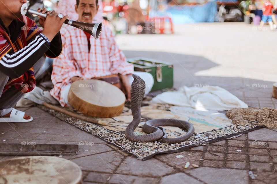 Snake charmer in Morocco