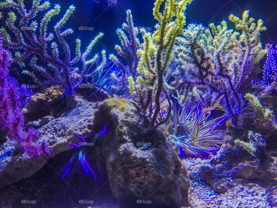 At Barcelona Aquarium