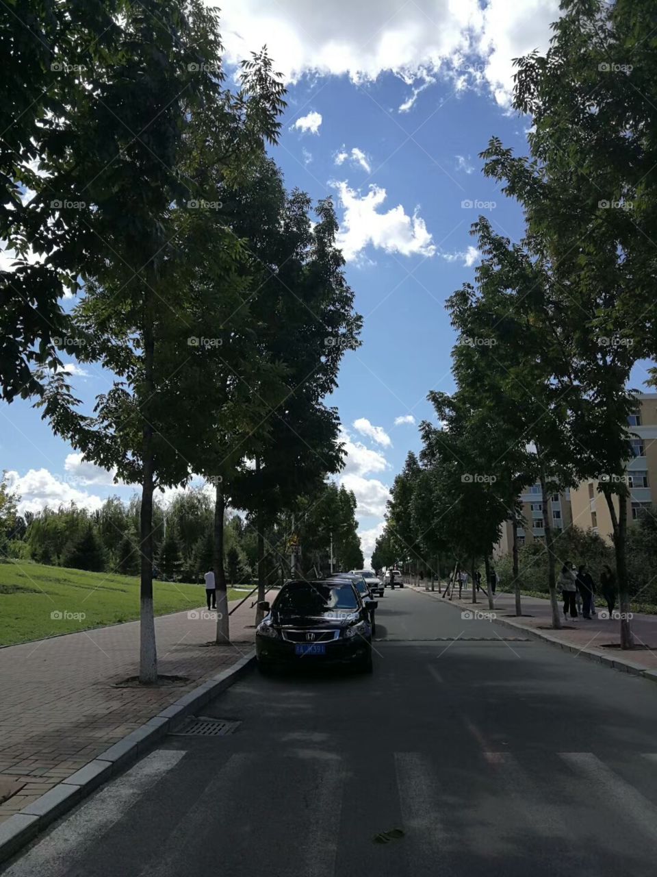 campus road