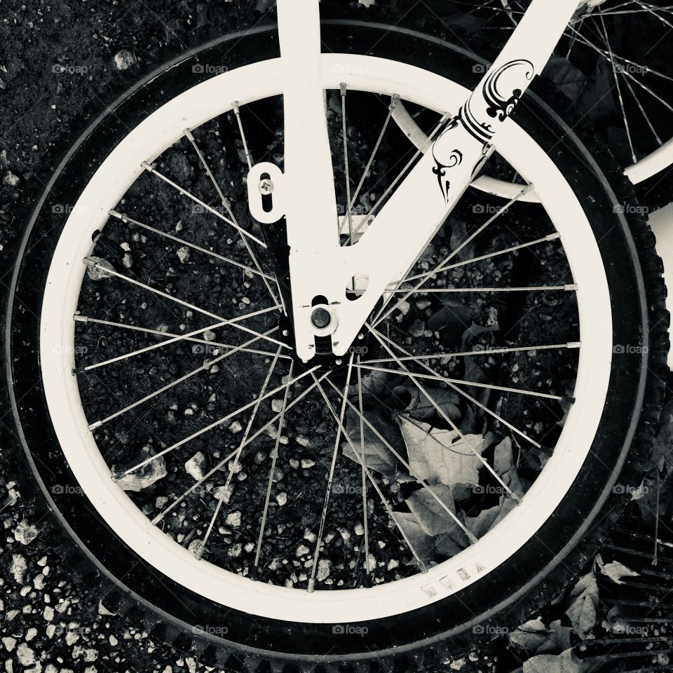 Black and white bicycle wheel picture