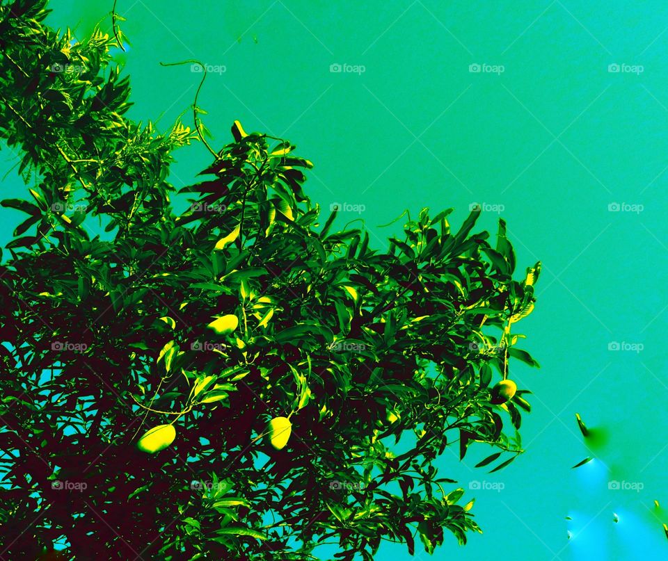 The varieties background