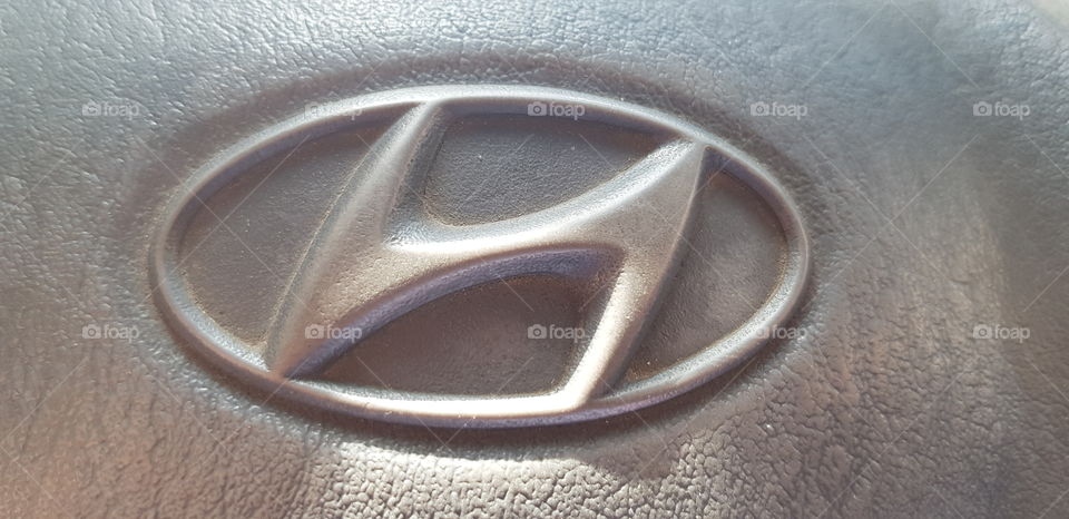 Hyundai label