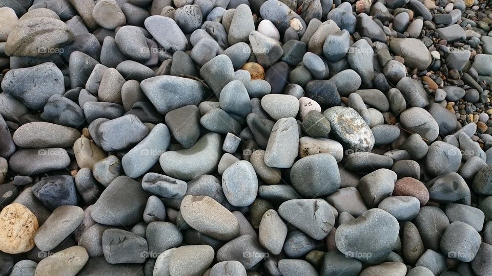pebbles. beach combing 
