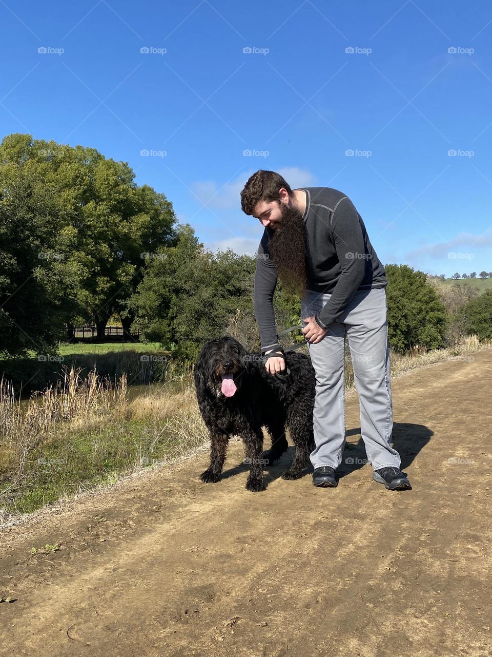 A labradoodle dog enjoys a break with its human while on a long walk on a dirt road on a sunny day. 