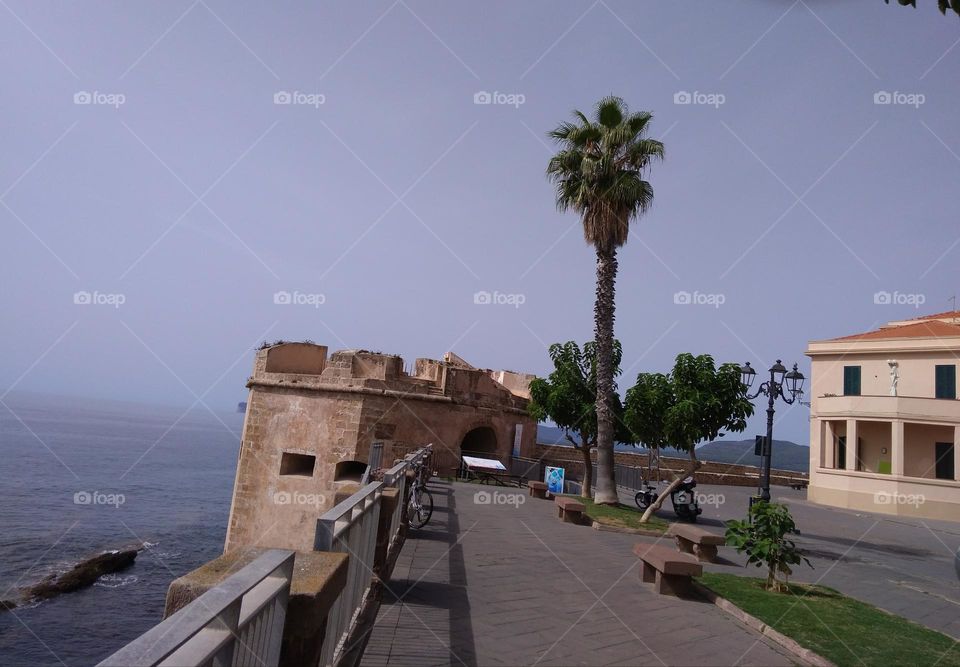 Best of 2021: Nature