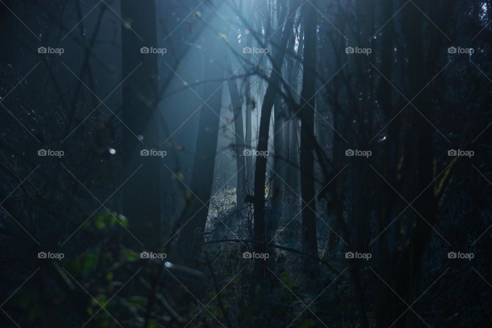 Fantastic👣👣爱上你🍂