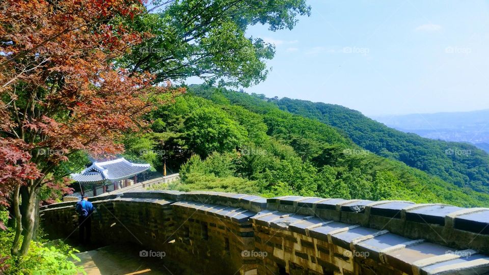 colors of the spring