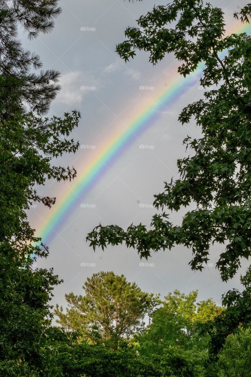 Let the pride shine bright! 