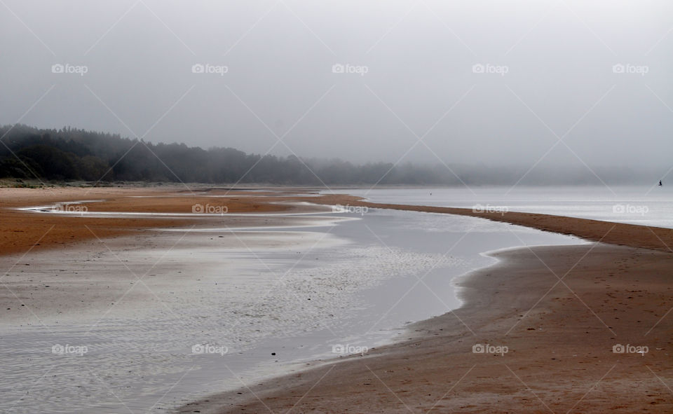 foggy morning at the baltic sea in latvia