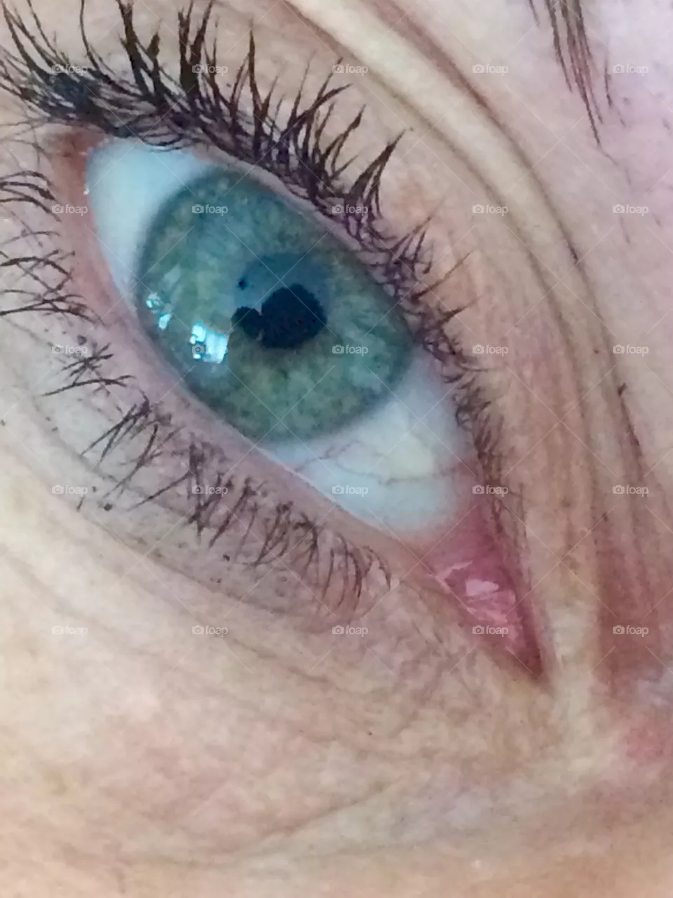 Eyes 