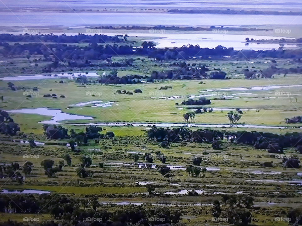 floresta e lagos amazônica