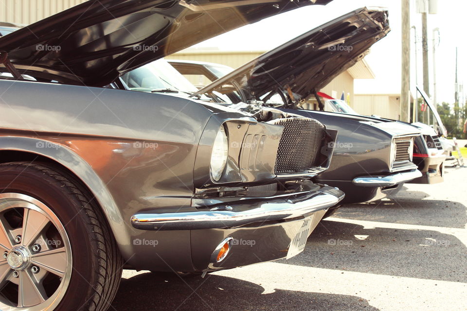 Image of Car show line-up, gray 1965 ford mustang gray 1969 chevy camaro