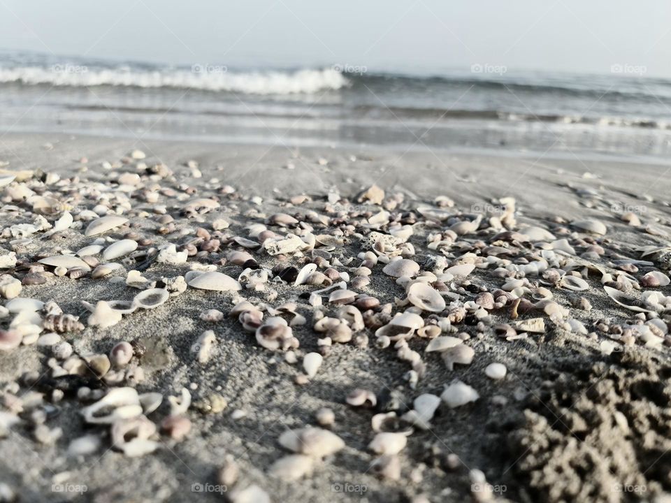 Beach Beauty