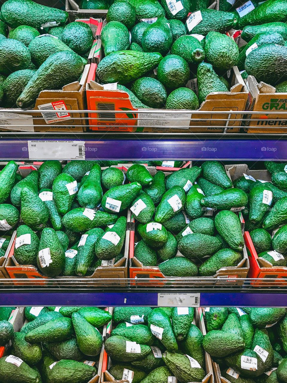 A lot of avocados . Avocado